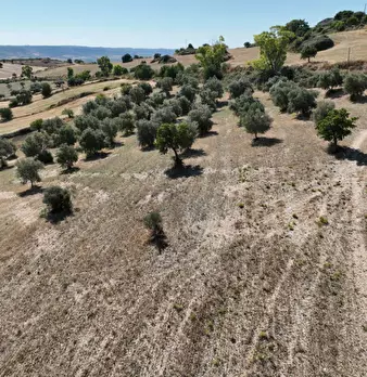 Foto annuncio 12