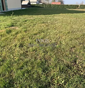 Foto annuncio 21