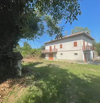 Foto annuncio 2