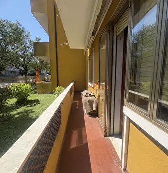 Foto annuncio 10