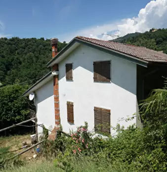 Foto annuncio 2