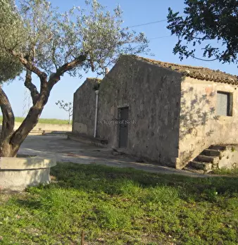 Foto annuncio 2