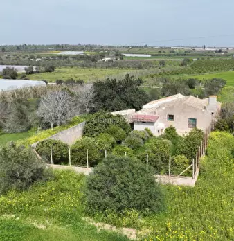 Foto annuncio 7