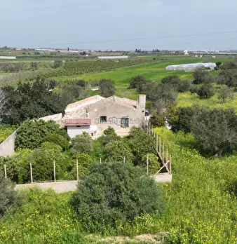 Foto annuncio 10