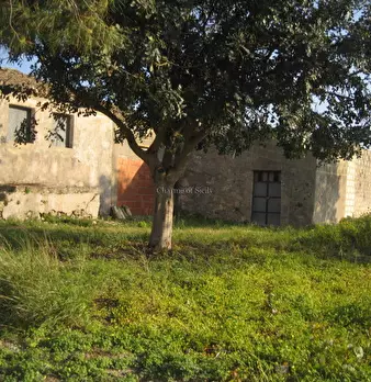 Foto annuncio 18