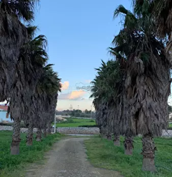 Foto annuncio 18