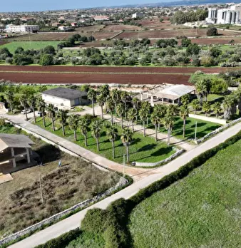 Foto annuncio 25