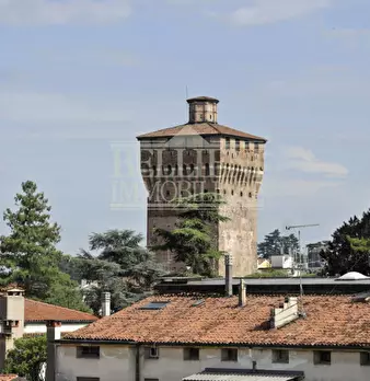 Foto annuncio 13