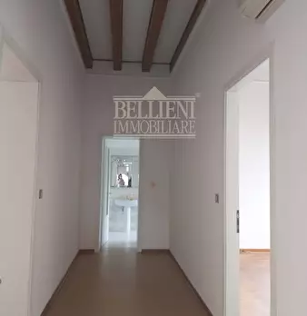 Foto annuncio 12