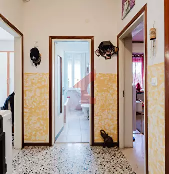 Foto annuncio 26