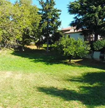 Foto annuncio 12