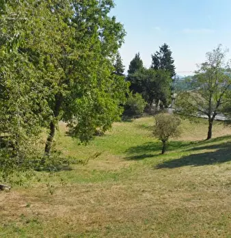 Foto annuncio 13