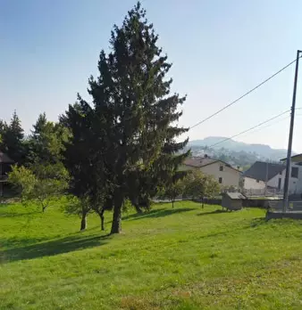 Foto annuncio 15