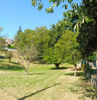 Foto annuncio 16