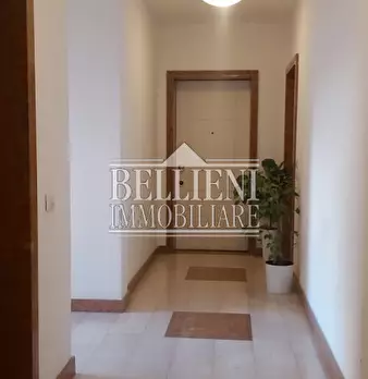 Foto annuncio 28