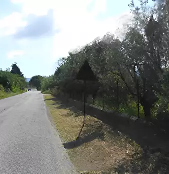 Foto annuncio 8