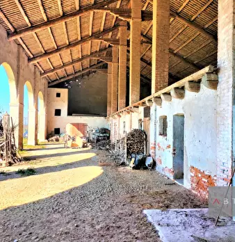 Foto annuncio 2