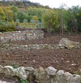 Foto annuncio 37