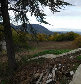 Foto annuncio 38