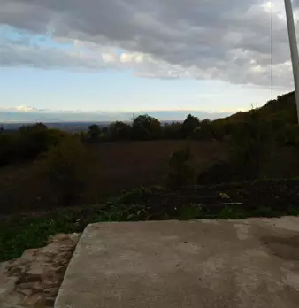 Foto annuncio 39