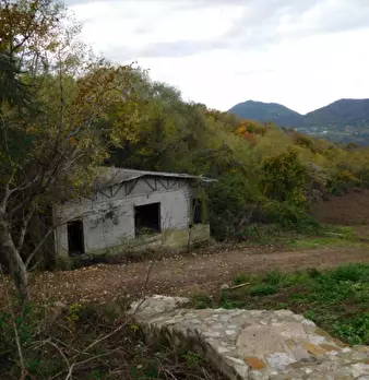 Foto annuncio 40