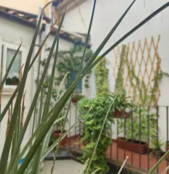 Foto annuncio 38