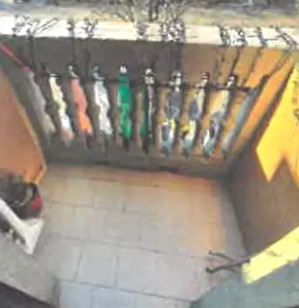 Foto annuncio 10