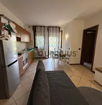 Foto annuncio 6