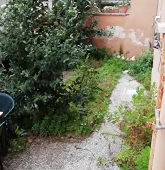 Foto annuncio 12