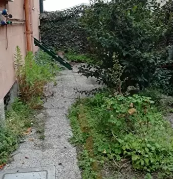 Foto annuncio 14