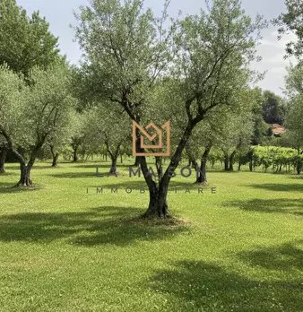 Foto annuncio 3