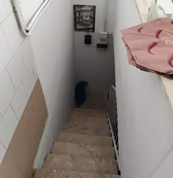 Foto annuncio 11