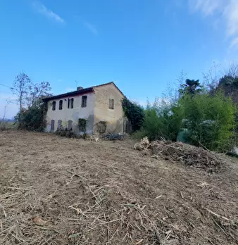 Foto annuncio 1