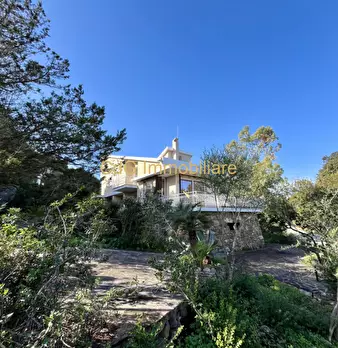 Foto annuncio 29