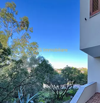 Foto annuncio 30