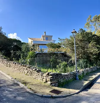 Foto annuncio 41