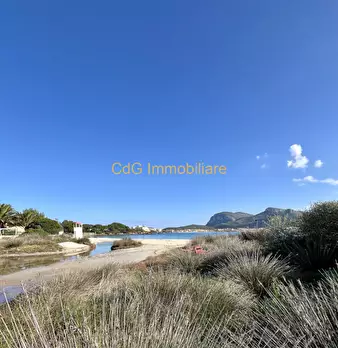 Foto annuncio 42