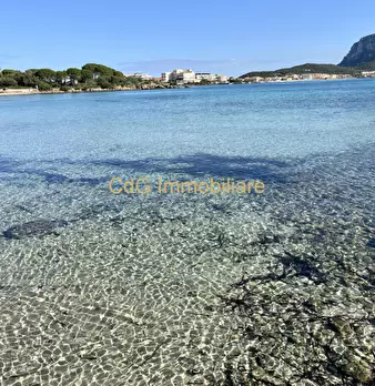 Foto annuncio 47