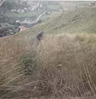 Foto annuncio 10