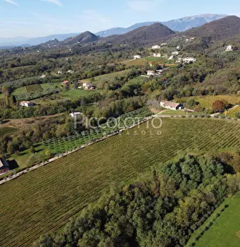 Foto annuncio 20