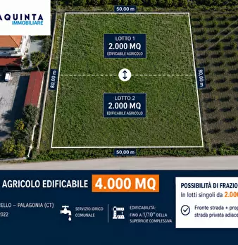 Foto annuncio 1