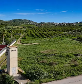 Foto annuncio 6