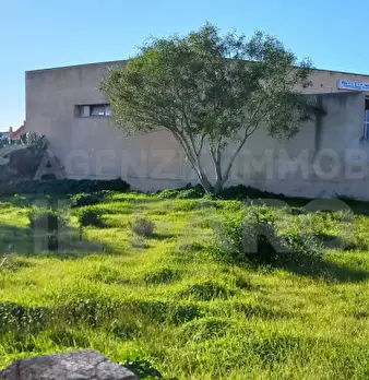 Foto annuncio 2