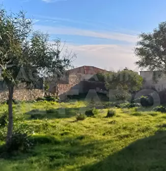 Foto annuncio 3
