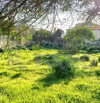 Foto annuncio 4