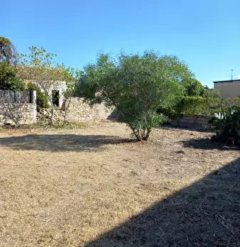 Foto annuncio 5