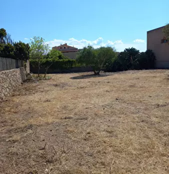 Foto annuncio 6