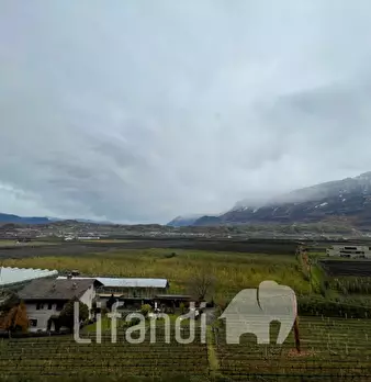 Foto annuncio 1