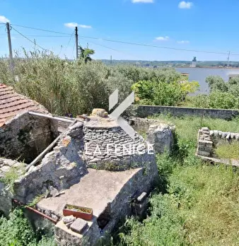 Foto annuncio 53