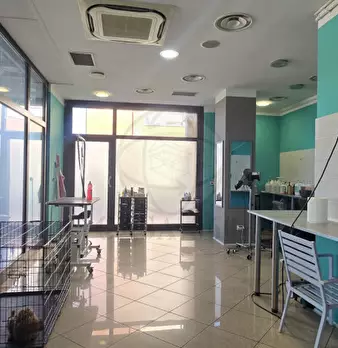 Foto annuncio 5